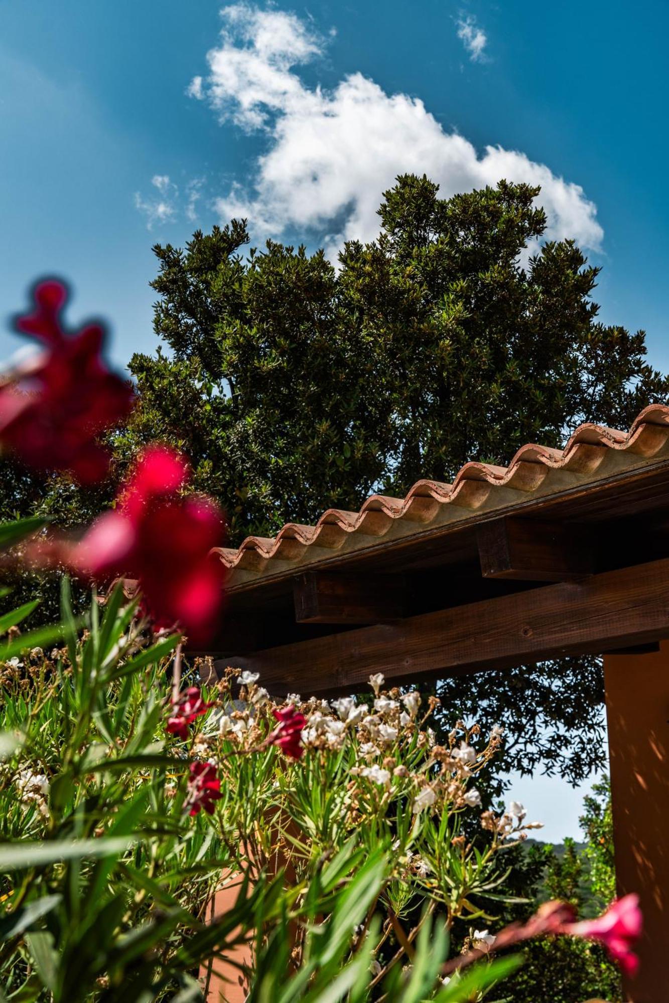 Casagliana Suite Resort Olbia Zewnętrze zdjęcie