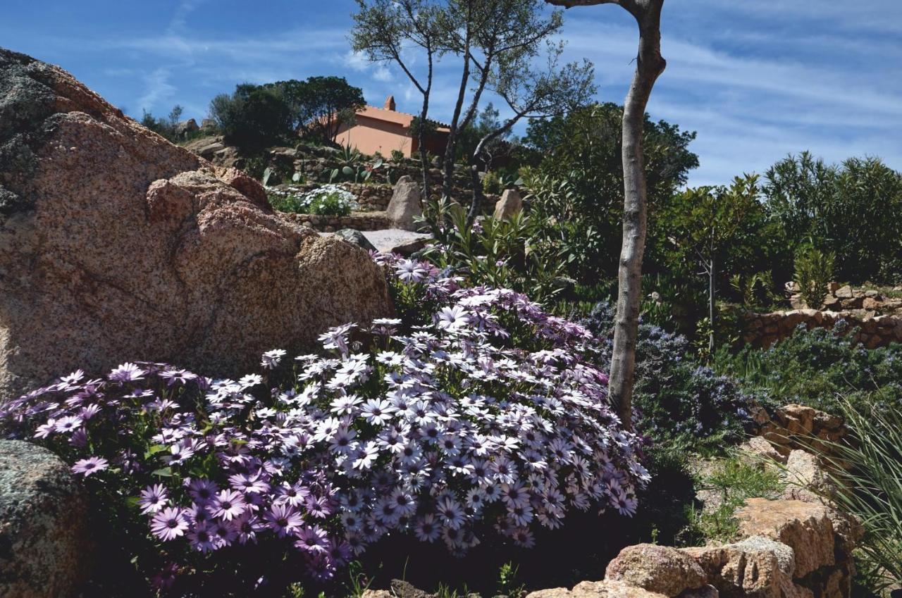 Casagliana Suite Resort Olbia Zewnętrze zdjęcie