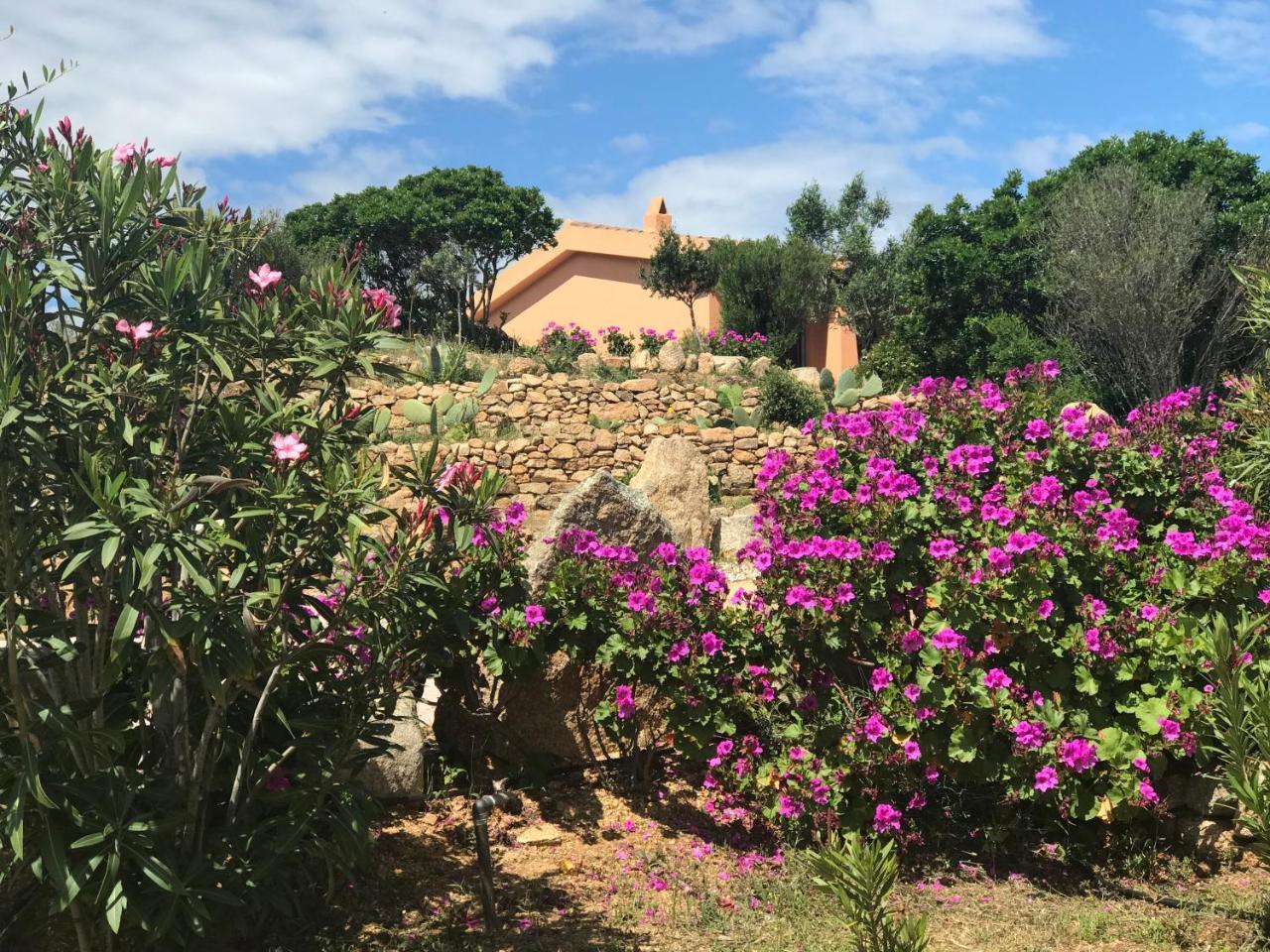 Casagliana Suite Resort Olbia Zewnętrze zdjęcie